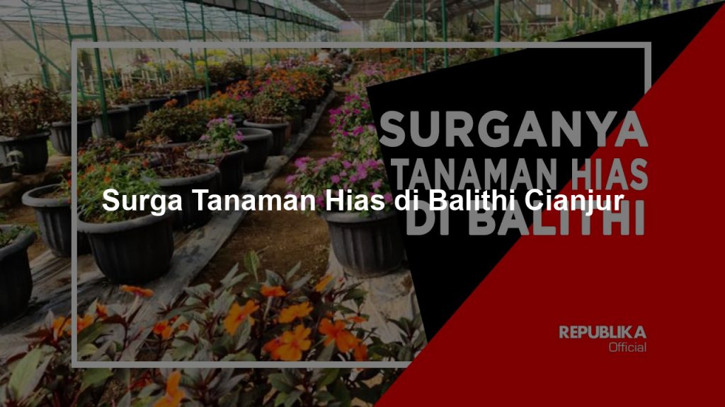 Surga Tanaman Hias di Balithi Cianjur – Agri Modern